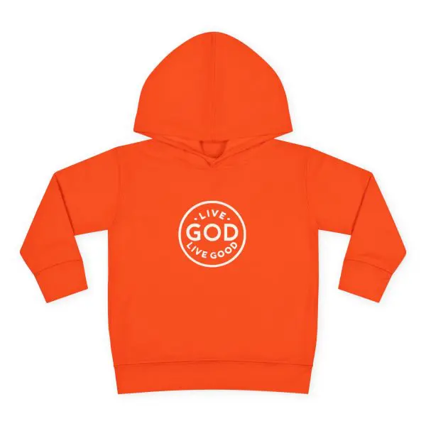 Toddler Pullover Fleece Hoodie LIVE GOD LIVE GOOD TM - Image 4